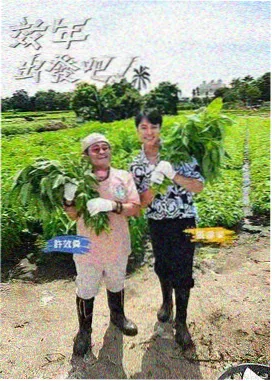 平板端哔哩哔哩画质与弹幕设置教程